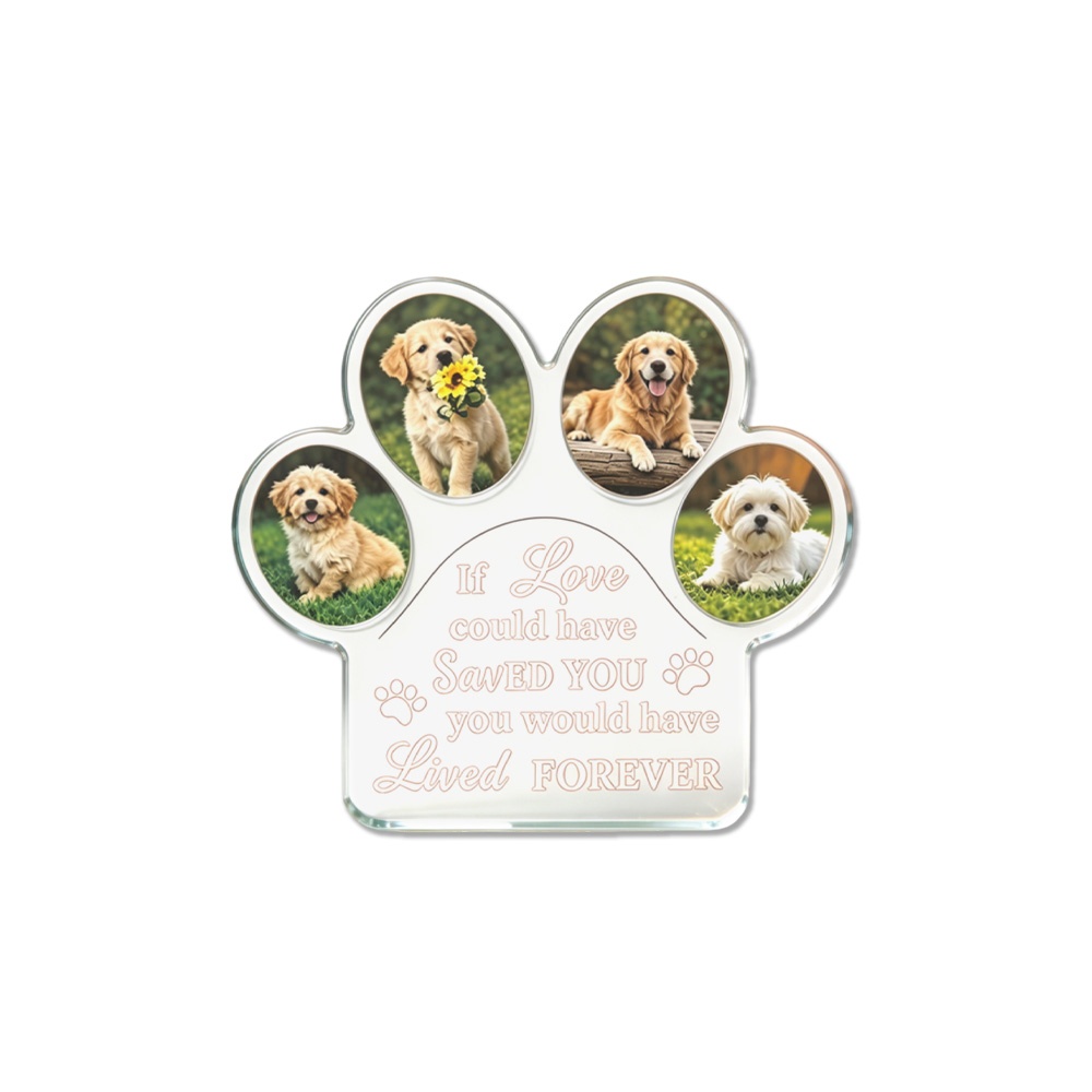 1개 맞춤형 DIY 사진 및 텍스트가 들어간 발바닥 모 - Photo Acrylic Block 리뷰 및 가격
